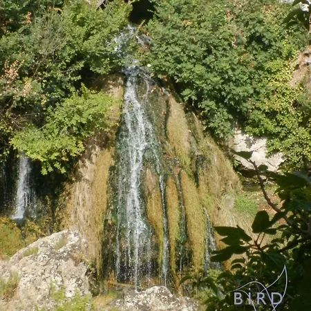Haven Of Peace In The * Trans-en-Provence